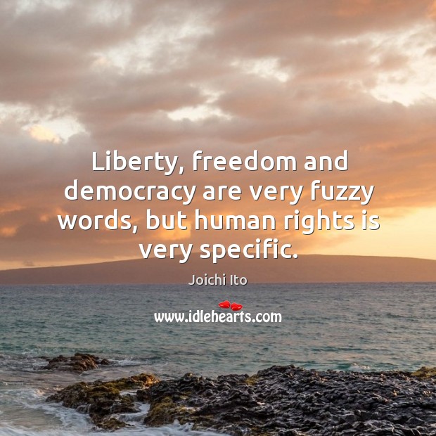 Liberty, freedom and democracy are very fuzzy words, but human rights is very specific. Joichi Ito Picture Quote