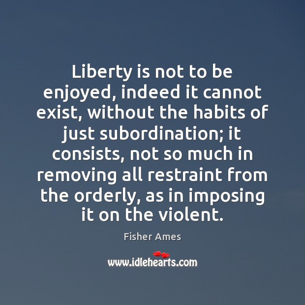 Liberty is not to be enjoyed, indeed it cannot exist, without the Image