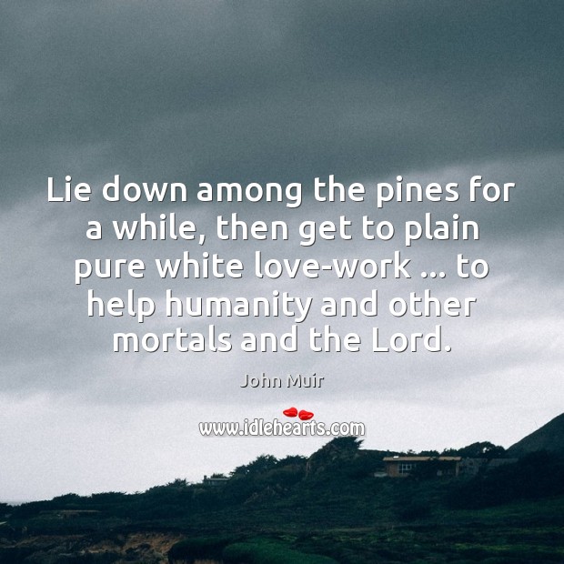 Lie down among the pines for a while, then get to plain John Muir Picture Quote