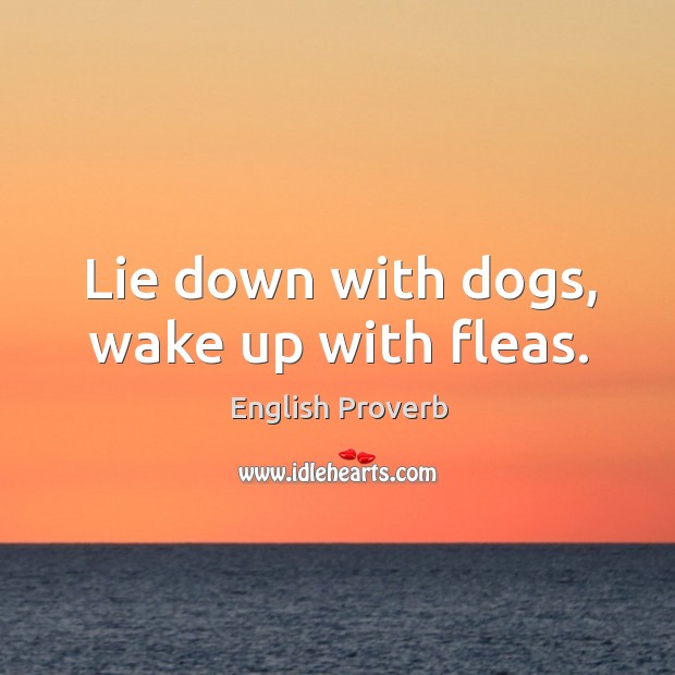 Lie down with dogs, wake up with fleas. Image