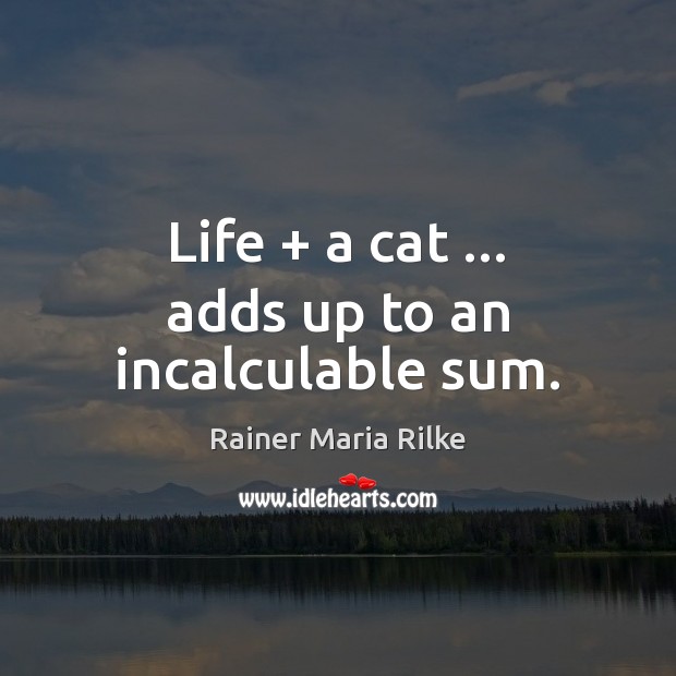 Life + a cat … adds up to an incalculable sum. Rainer Maria Rilke Picture Quote