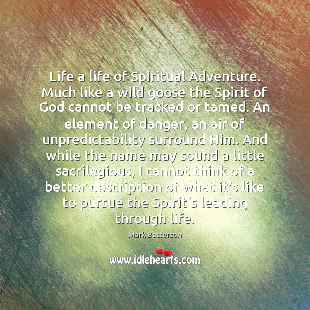 Life a life of Spiritual Adventure. Much like a wild goose the Mark Batterson Picture Quote