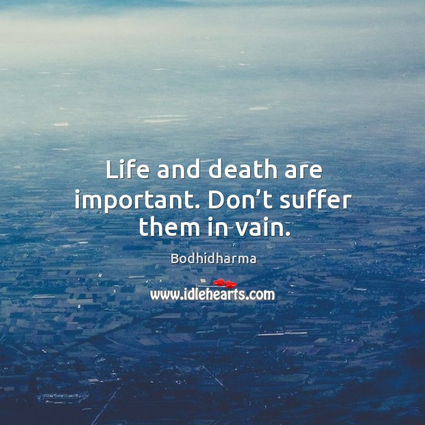 Life and death are important. Don’t suffer them in vain. Bodhidharma Picture Quote