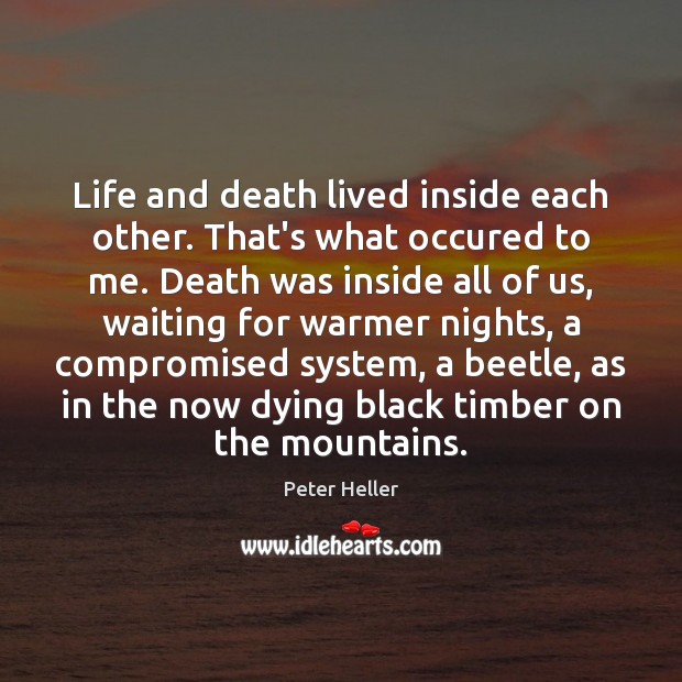 Life and death lived inside each other. That’s what occured to me. Peter Heller Picture Quote
