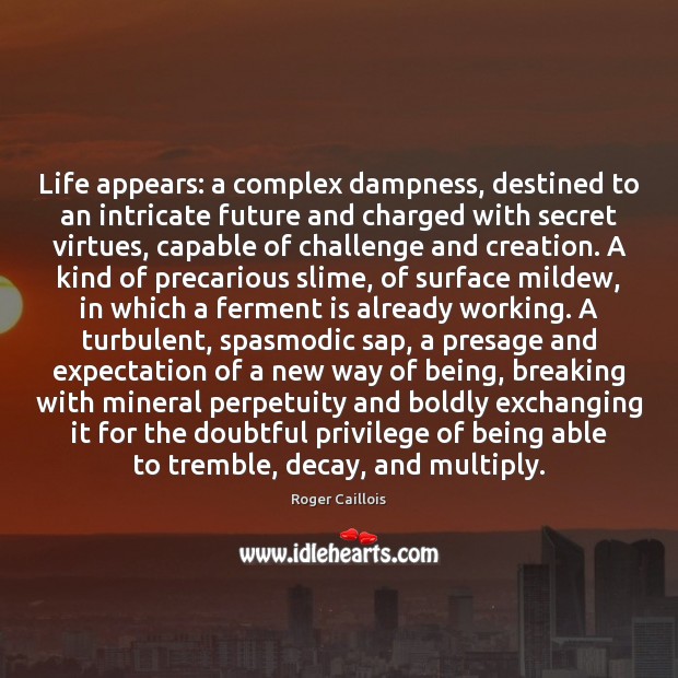 Life appears: a complex dampness, destined to an intricate future and charged 