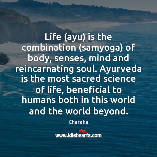 Life (ayu) is the combination (samyoga) of body, senses, mind and reincarnating Charaka Picture Quote
