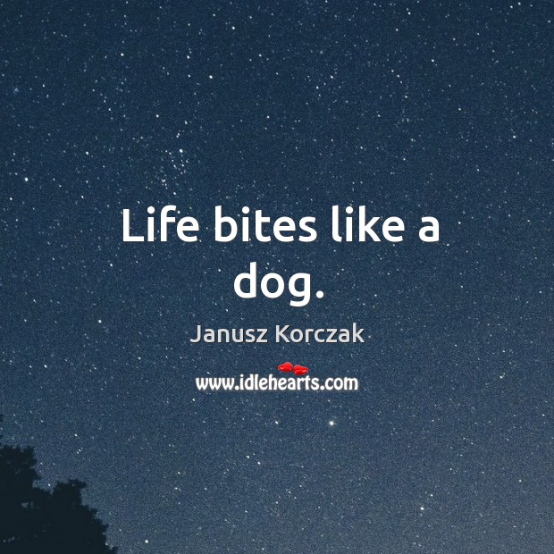 Life bites like a dog. Janusz Korczak Picture Quote