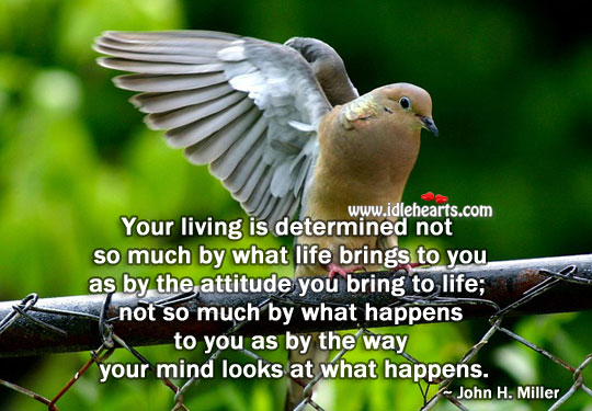 Your living is determined by the attitude John H. Miller Picture Quote
