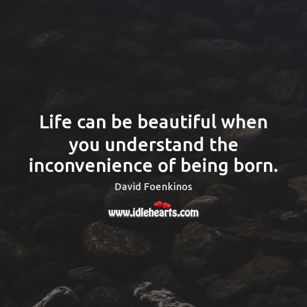 Life can be beautiful when you understand the inconvenience of being born. David Foenkinos Picture Quote
