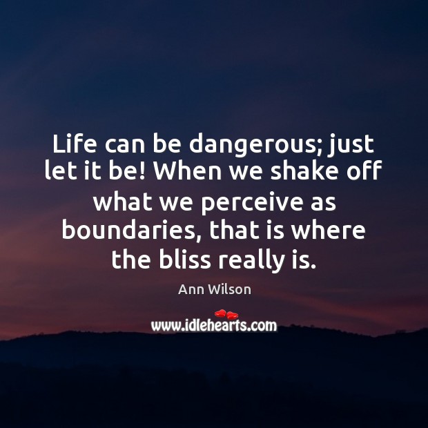 Life can be dangerous; just let it be! When we shake off Ann Wilson Picture Quote