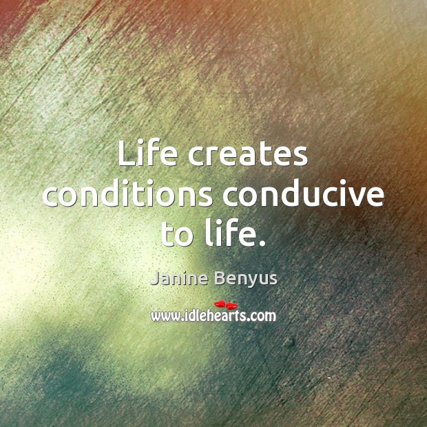 Life creates conditions conducive to life. Janine Benyus Picture Quote