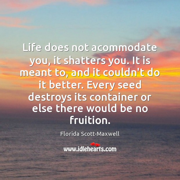 Life does not acommodate you, it shatters you. It is meant to, Florida Scott-Maxwell Picture Quote