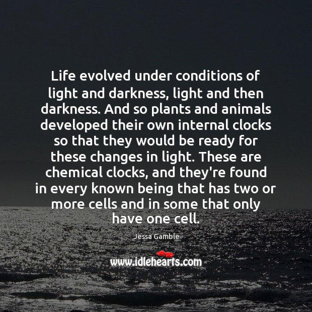 Life evolved under conditions of light and darkness, light and then darkness. Jessa Gamble Picture Quote