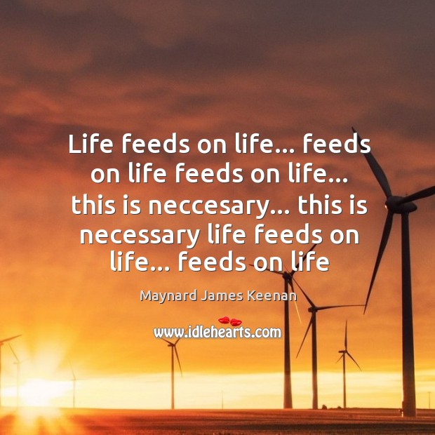 Life feeds on life… feeds on life feeds on life… this is Maynard James Keenan Picture Quote