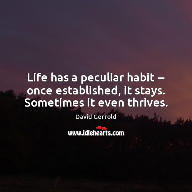 Life has a peculiar habit — once established, it stays. Sometimes it even thrives. David Gerrold Picture Quote