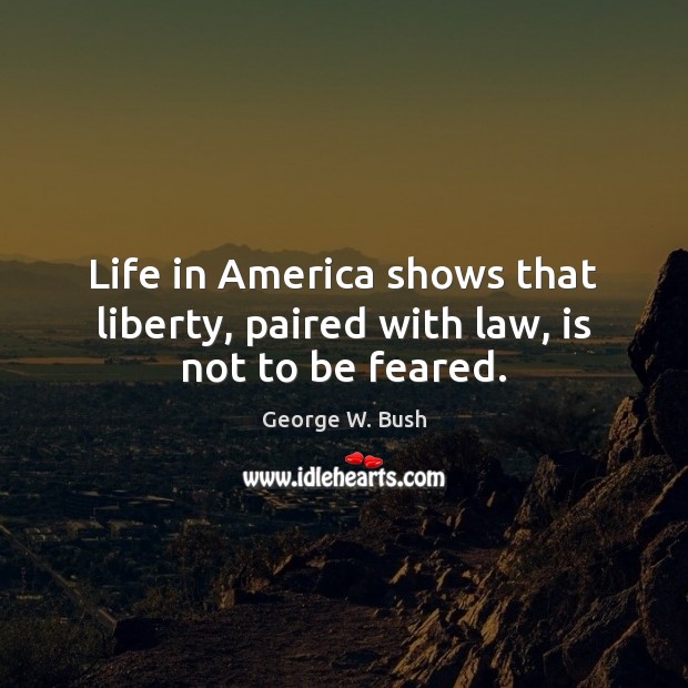 Life in America shows that liberty, paired with law, is not to be feared. Image