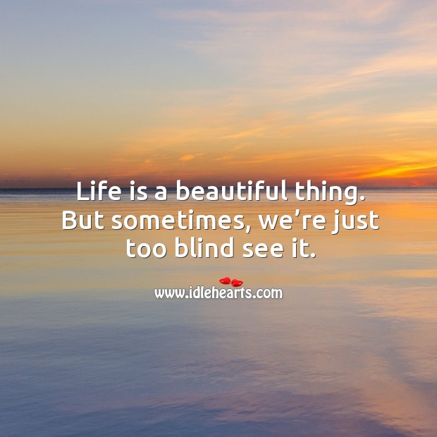 Life is a beautiful thing. But sometimes, we’re just too blind see it. 
