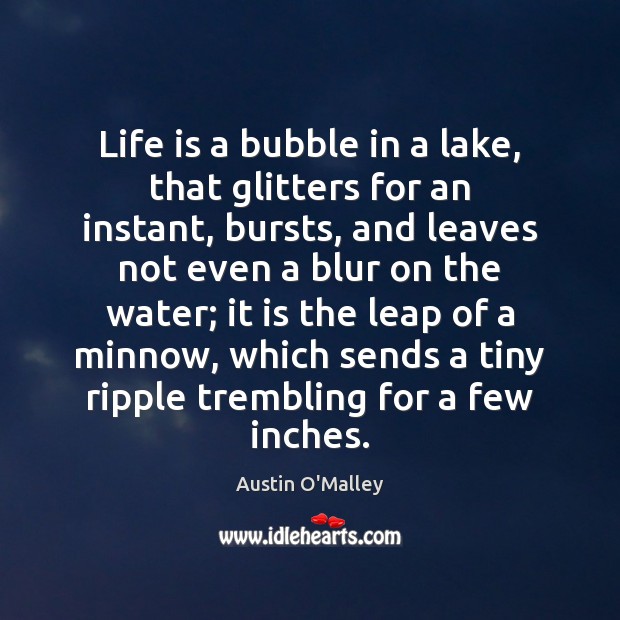 Life is a bubble in a lake, that glitters for an instant, Image