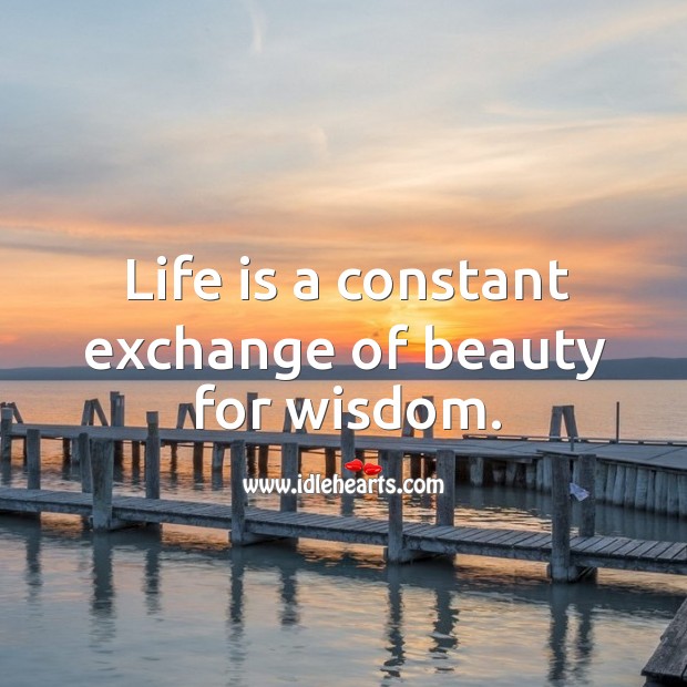 Life is a constant exchange of beauty for wisdom. Image
