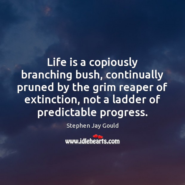Life is a copiously branching bush, continually pruned by the grim reaper Stephen Jay Gould Picture Quote