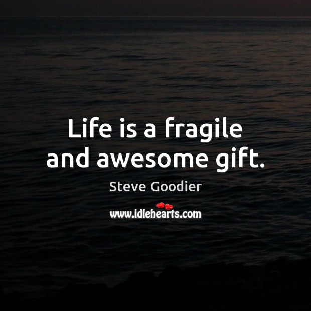 Life is a fragile and awesome gift. Steve Goodier Picture Quote