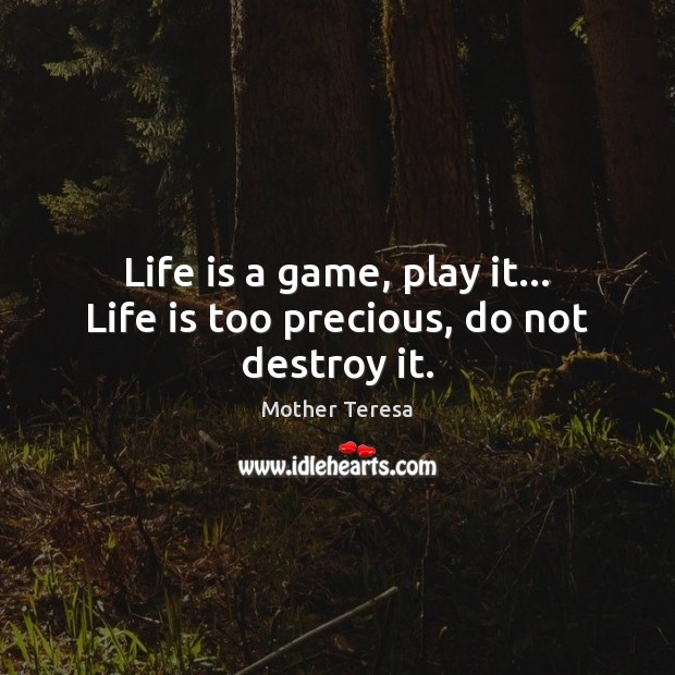 Life is a game, play it… Life is too precious, do not destroy it. Image