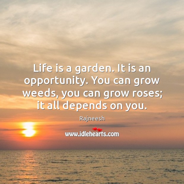 Life is a garden. It is an opportunity. You can grow weeds, Image
