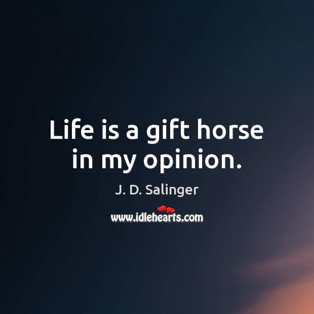 Life is a gift horse in my opinion. J. D. Salinger Picture Quote