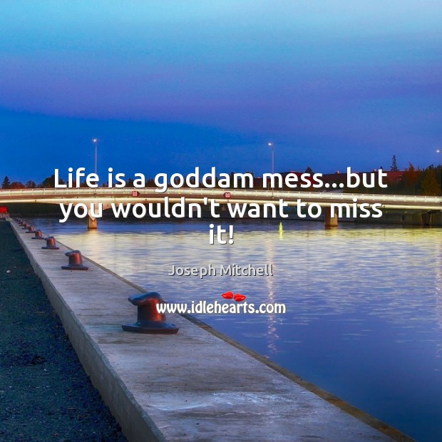 Life is a Goddam mess…but you wouldn’t want to miss it! Joseph Mitchell Picture Quote