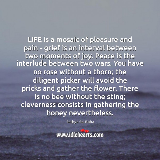 LIFE is a mosaic of pleasure and pain – grief is an Peace Quotes Image