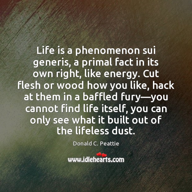 Life is a phenomenon sui generis, a primal fact in its own Donald C. Peattie Picture Quote
