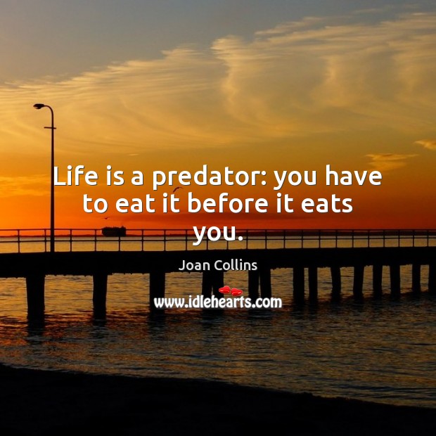 Life is a predator: you have to eat it before it eats you. Joan Collins Picture Quote