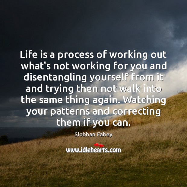 Life is a process of working out what’s not working for you Siobhan Fahey Picture Quote