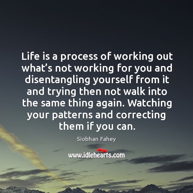 Life is a process of working out what’s not working for you and disentangling yourself from Siobhan Fahey Picture Quote