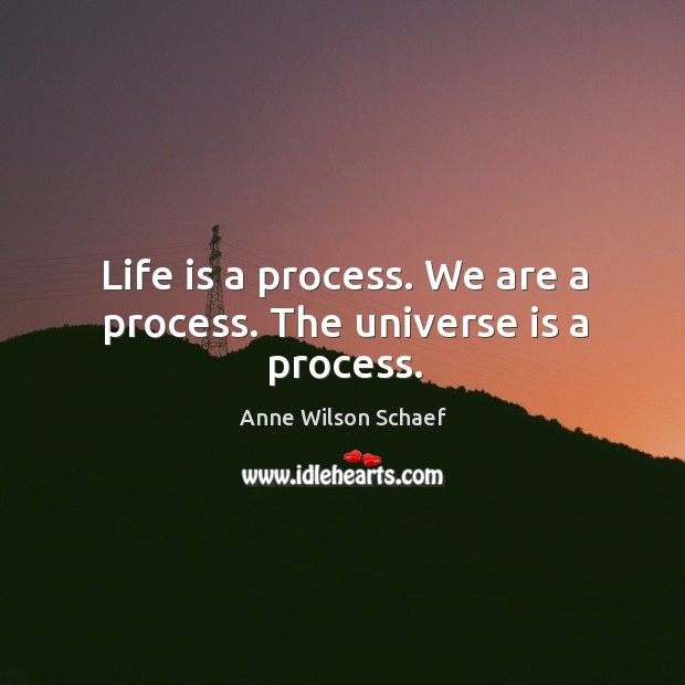 Life is a process. We are a process. The universe is a process. Anne Wilson Schaef Picture Quote