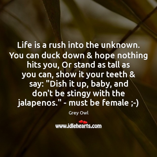 Life is a rush into the unknown. You can duck down & hope Grey Owl Picture Quote