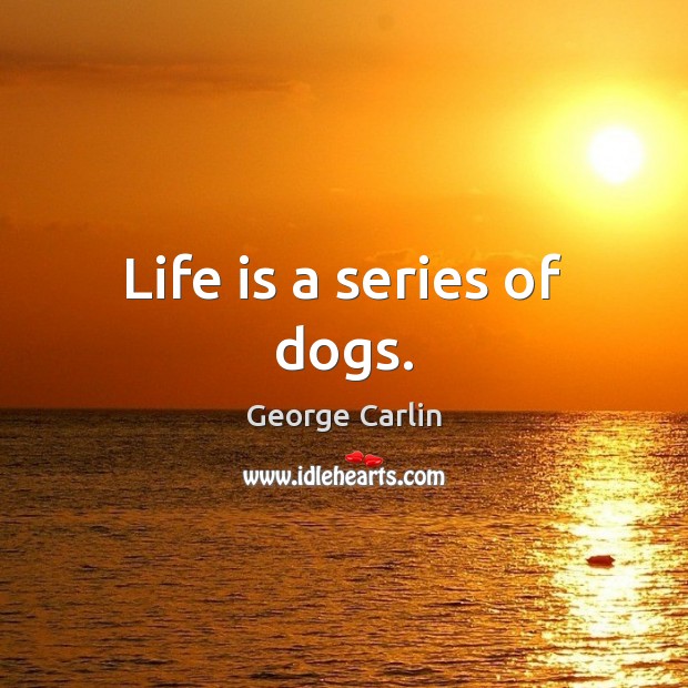Life is a series of dogs. Image