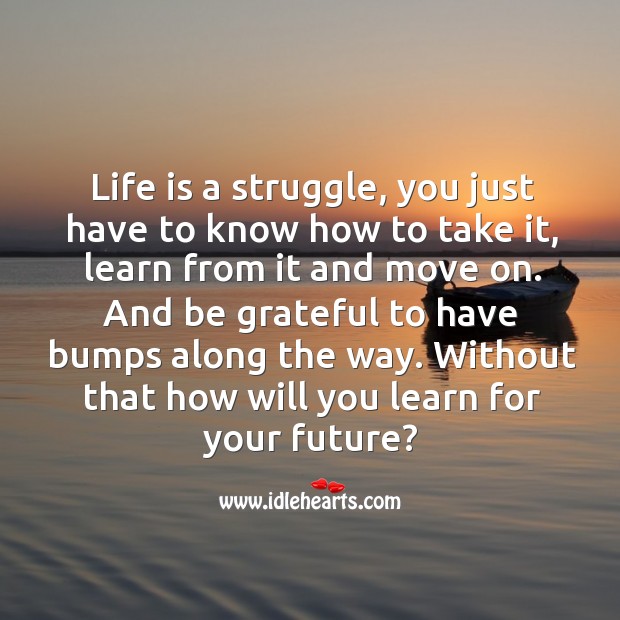 Life is a struggle, you just have to know how to take it, learn from it and move on. Be Grateful Quotes Image