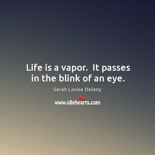 Life is a vapor.  It passes in the blink of an eye. Sarah Louise Delany Picture Quote