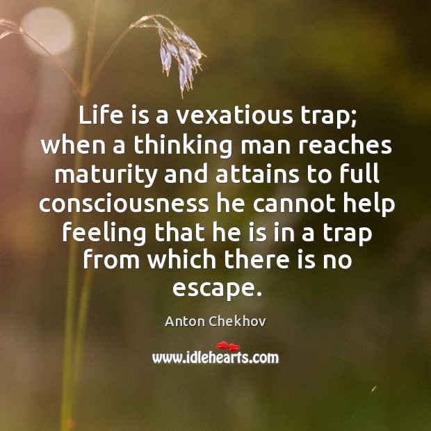 Life is a vexatious trap; when a thinking man reaches maturity and Anton Chekhov Picture Quote