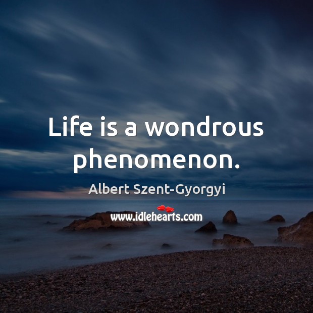 Life is a wondrous phenomenon. Albert Szent-Gyorgyi Picture Quote
