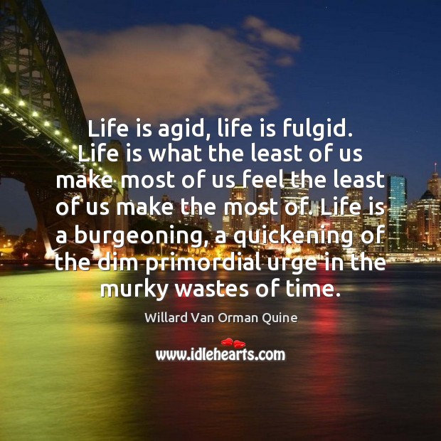 Life is agid, life is fulgid. Life is what the least of Image