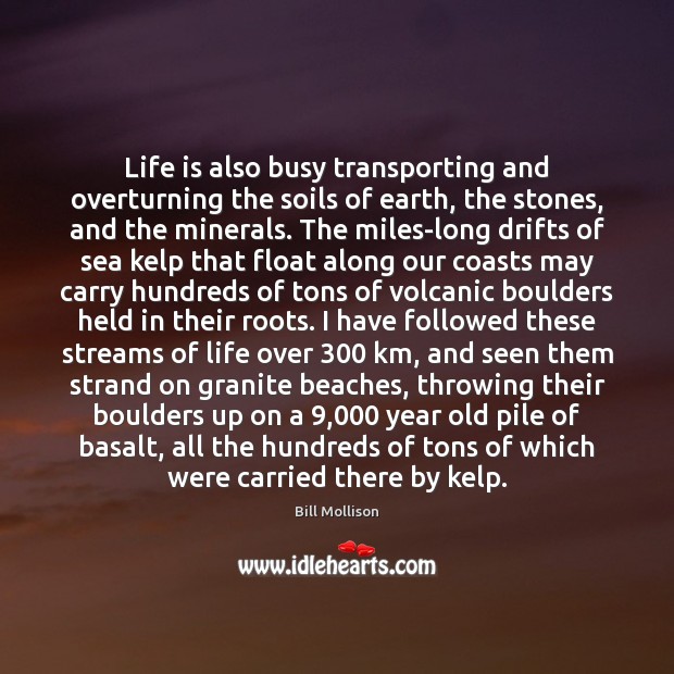 Life is also busy transporting and overturning the soils of earth, the Bill Mollison Picture Quote