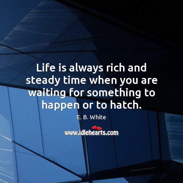 Life is always rich and steady time when you are waiting for E. B. White Picture Quote