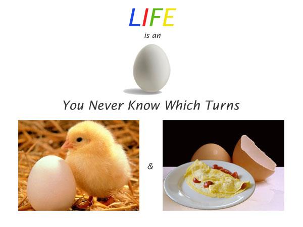 Life is an egg. Life Quotes Image