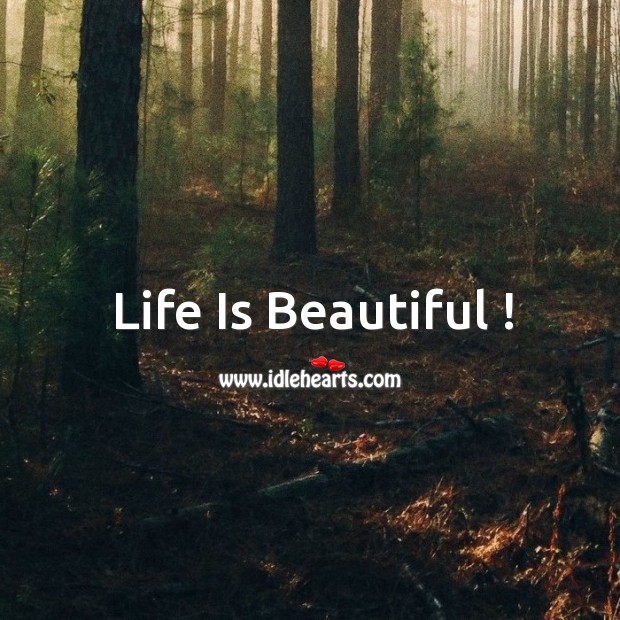 Life is beautiful ! Life is Beautiful Quotes Image