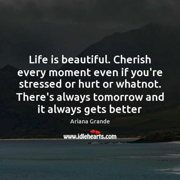Life is beautiful. Cherish every moment even if you’re stressed or hurt Life is Beautiful Quotes Image