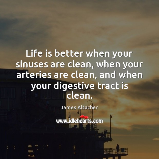 Life is better when your sinuses are clean, when your arteries are James Altucher Picture Quote