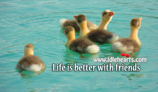 Life is better with friends. Image