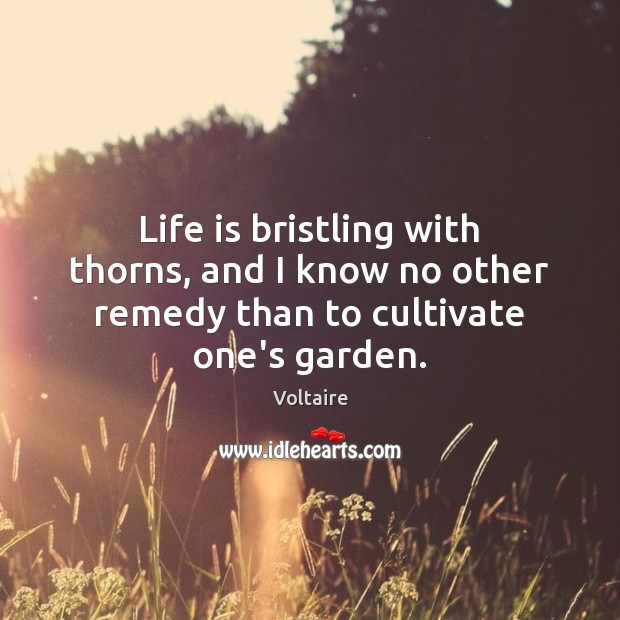 Life is bristling with thorns, and I know no other remedy than to cultivate one’s garden. Voltaire Picture Quote